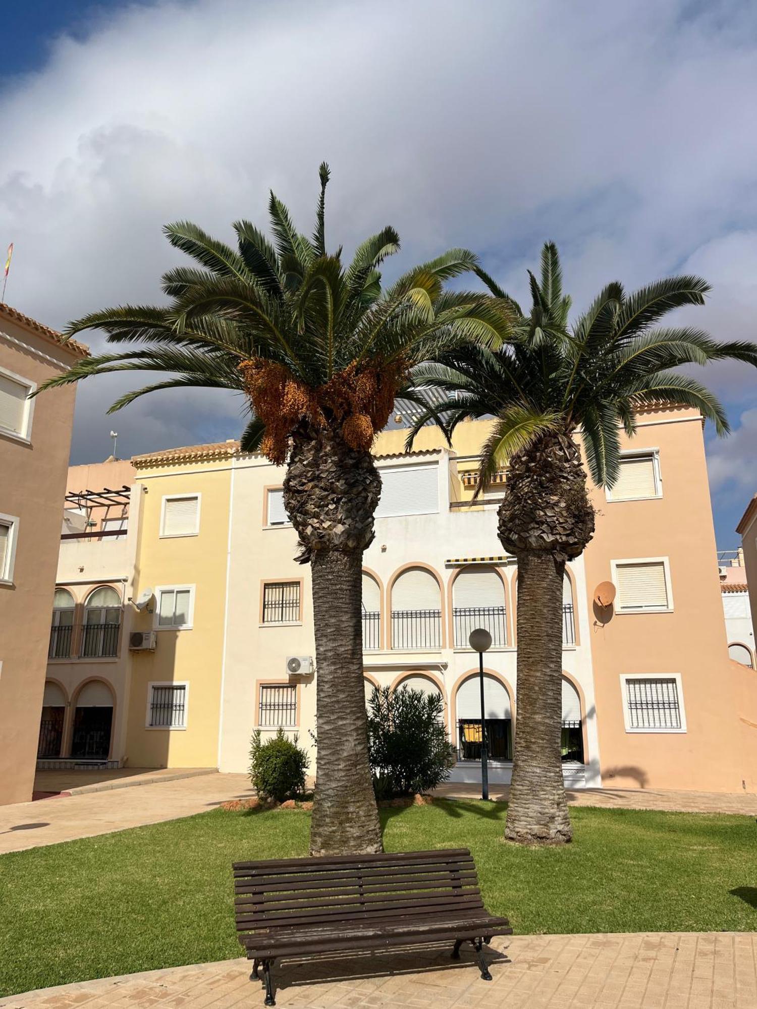Torrevieja 2 Bedrooms Appartment Exterior foto