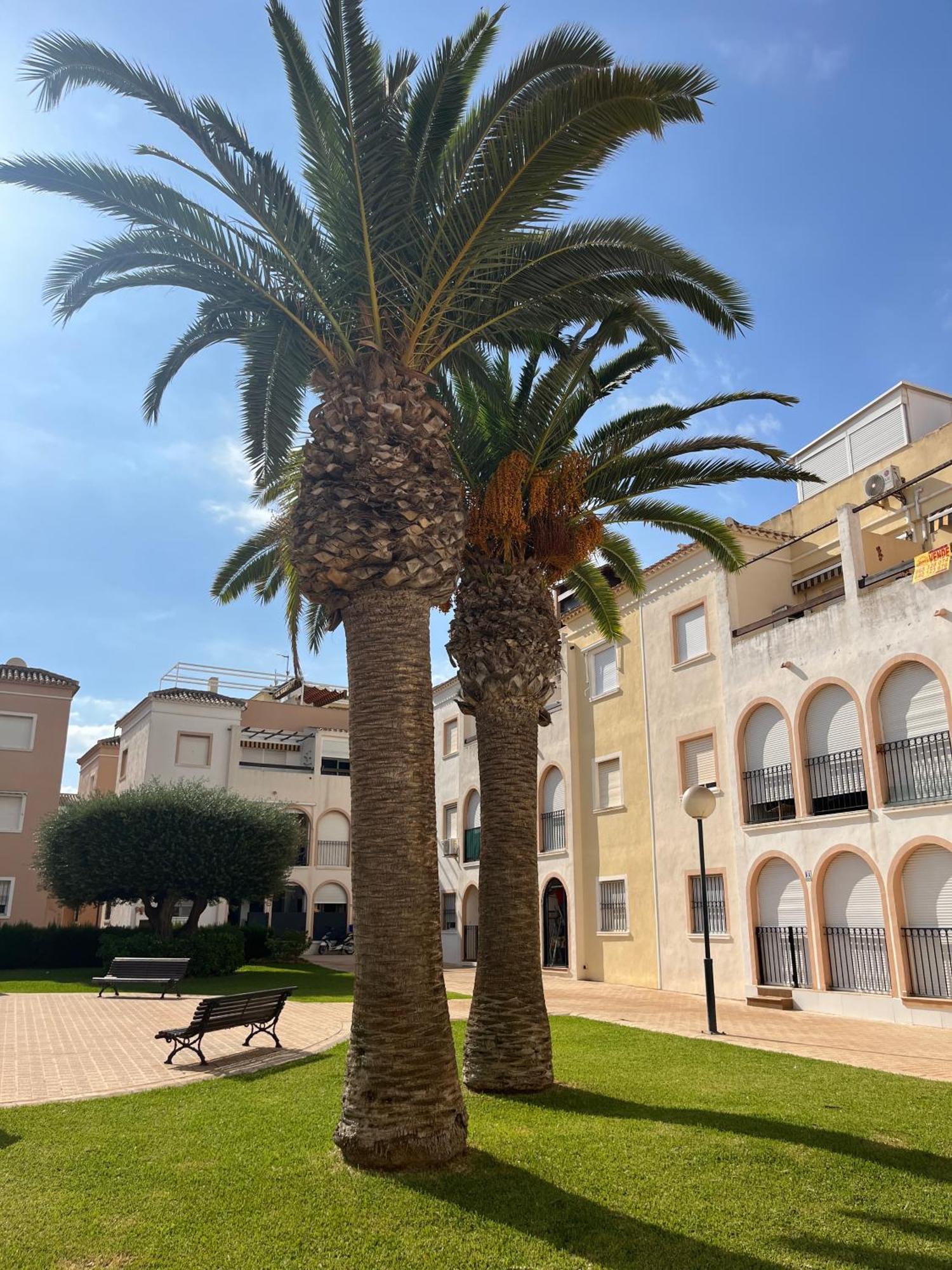 Torrevieja 2 Bedrooms Appartment Exterior foto